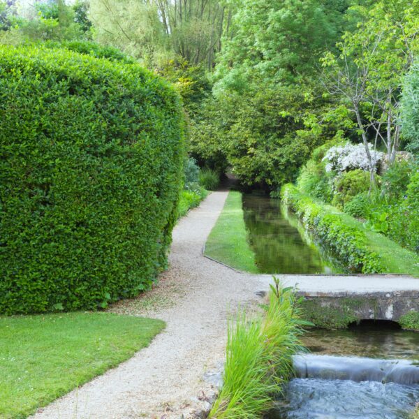 Clipped garden hedge beside a path and water