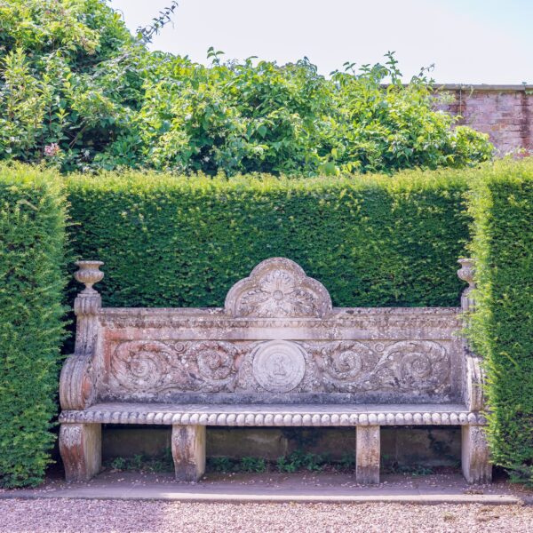 Clipped evergreen conifer hedge behind a stone garden bench