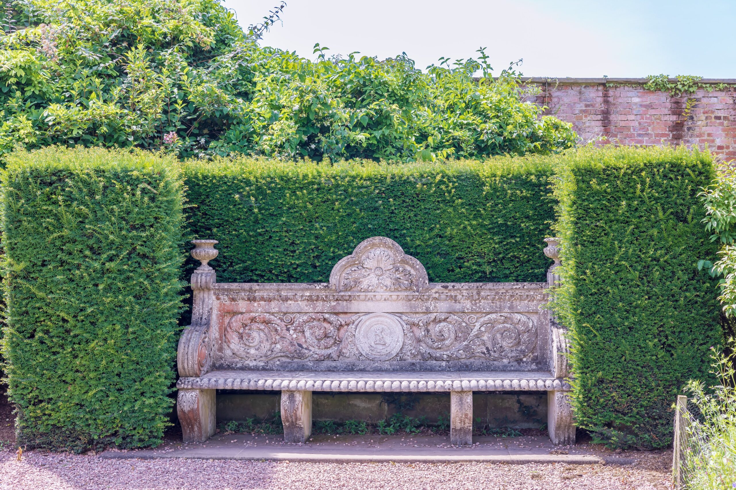 Clipped evergreen conifer hedge behind a stone garden bench