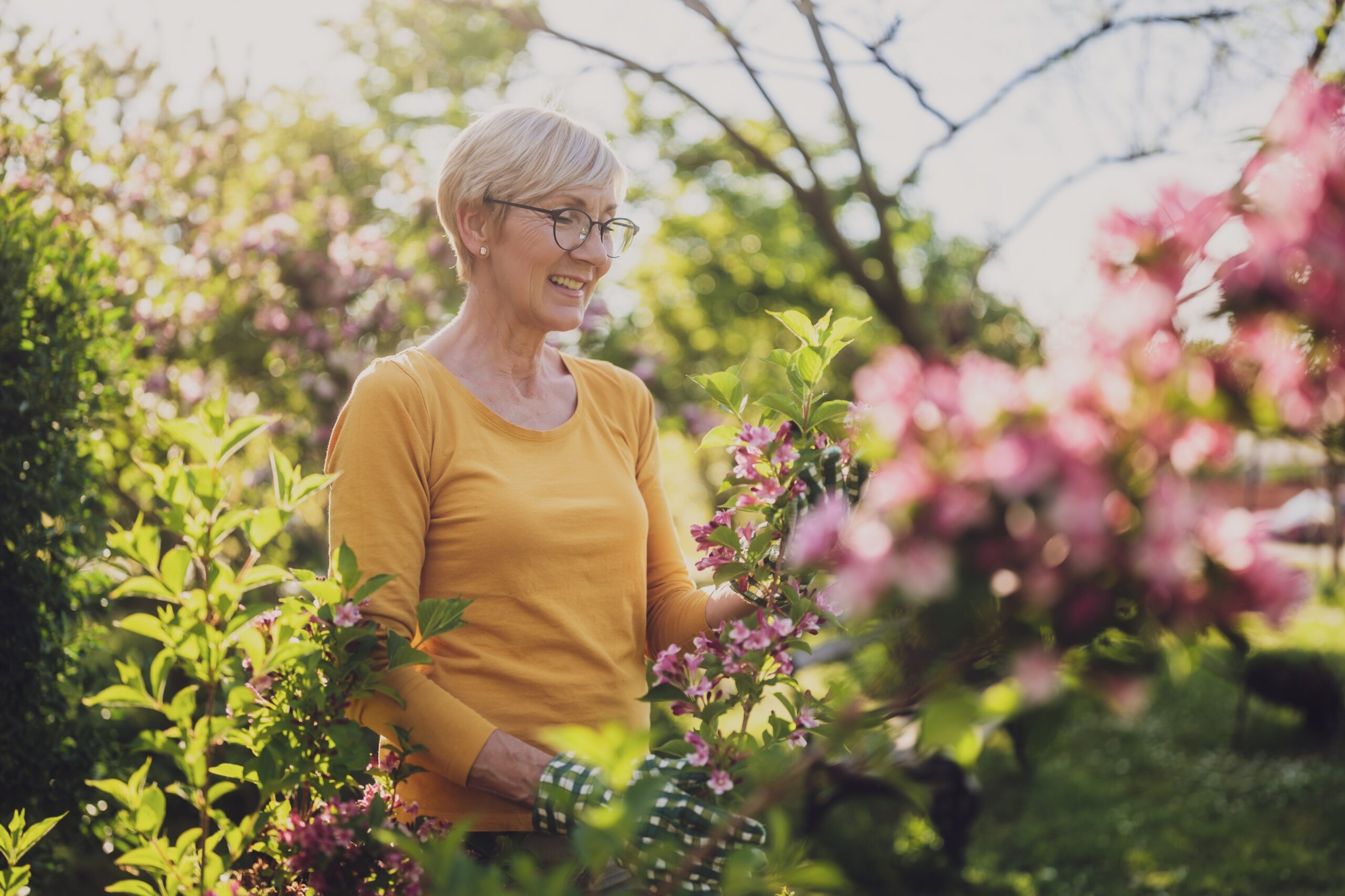 Gardener tending a flowering shrub in a sunlit garden